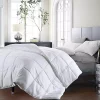 Egyptian Linens Best Cooling Bamboo Comforter 1 Egyptian Linens Best Cooling Bamboo Comforter -Brite Star Shop Belk 1015