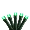 Brite Star 15 Battery Operated Green LED Micro Christmas Lights - 4.5 ft Green Wire 2 Brite Star 15 Battery Operated Green LED Micro Christmas Lights - 4.5 ft Green Wire -Brite Star Shop Belk 109
