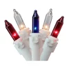 Brite Star 150-Count Red and Blue Chasing Mini Christmas Light Set 34ft White Wire -Brite Star Shop Belk 116