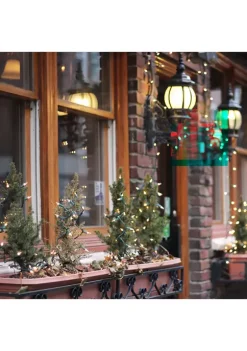 Brite Star 300-Count Clear Mini Christmas Light Set 149.6ft Green Wire 9 Brite Star 300-Count Clear Mini Christmas Light Set 149.6ft Green Wire -Brite Star Shop Belk 156