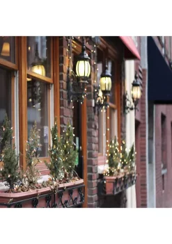 Brite Star 100-Count Clear Mini Christmas Light Set 49.6ft Green Wire 11 Brite Star 100-Count Clear Mini Christmas Light Set 49.6ft Green Wire -Brite Star Shop Belk 195