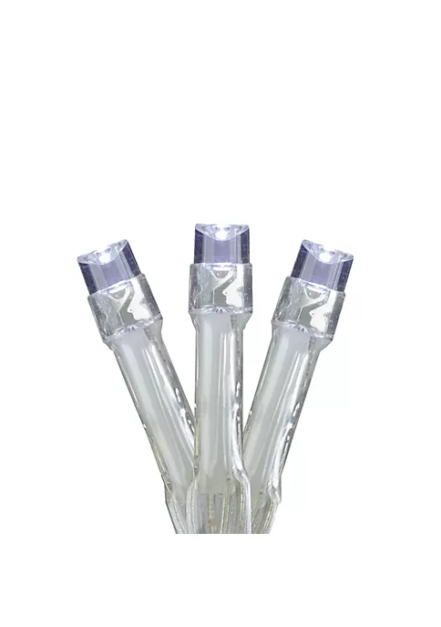 Brite Star Set of 15 Pure White Battery Operated LED Christmas Lights – 5 ft Clear Wire 4 Brite Star Set of 15 Pure White Battery Operated LED Christmas Lights – 5 ft Clear Wire - Image 2