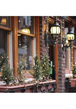 Brite Star 300-Count Clear Mini Christmas Light Set 149.6ft Green Wire -Brite Star Shop Belk 313