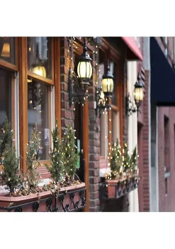 Brite Star 100-Count Clear Mini Christmas Light Set 49.6ft Green Wire 10 Brite Star 100-Count Clear Mini Christmas Light Set 49.6ft Green Wire -Brite Star Shop Belk 369