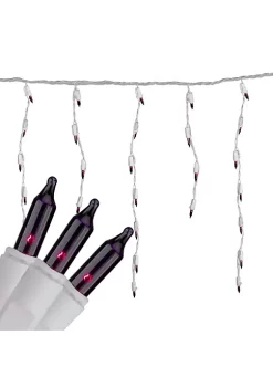 Brite Star Set of 100 Purple Mini Icicle Christmas Lights - 7.8ft White Wire 9 Brite Star Set of 100 Purple Mini Icicle Christmas Lights - 7.8ft White Wire -Brite Star Shop Belk 433