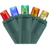 Brite Star 60 Count Multi-Color LED Wide Angle Twinkling Christmas Lights - 19.5' Green Wire -Brite Star Shop Belk 46