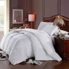 Egyptian Linens Oversized Winter Fill Baffle Box Hungarian Down Alternative Comforter/Duvet Insert 2 Egyptian Linens Oversized Winter Fill Baffle Box Hungarian Down Alternative Comforter/Duvet Insert -Brite Star Shop Belk 734