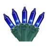 Brite Star 100-Count Blue Mini Christmas Lights 49.6ft Green Wire -Brite Star Shop Belk 94