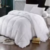 Egyptian Linens Goose Down Comforter 600 Thread Count 1 Egyptian Linens Goose Down Comforter 600 Thread Count -Brite Star Shop Belk 979